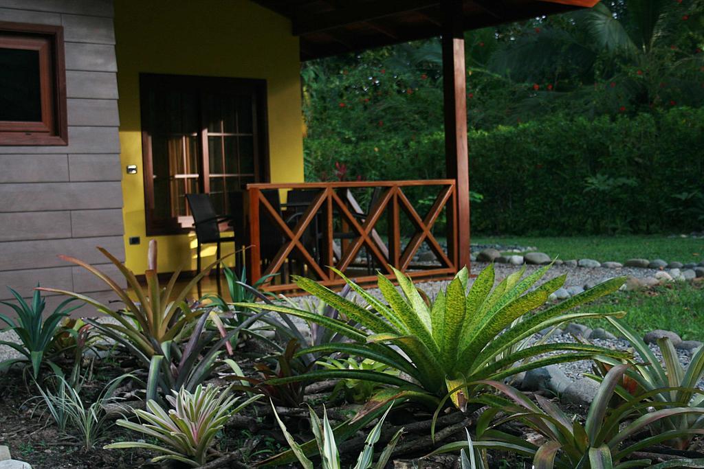 Oasi Leilighet Cahuita Rom bilde